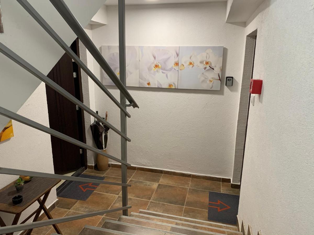 A6 Apartment Újvidék Kültér fotó